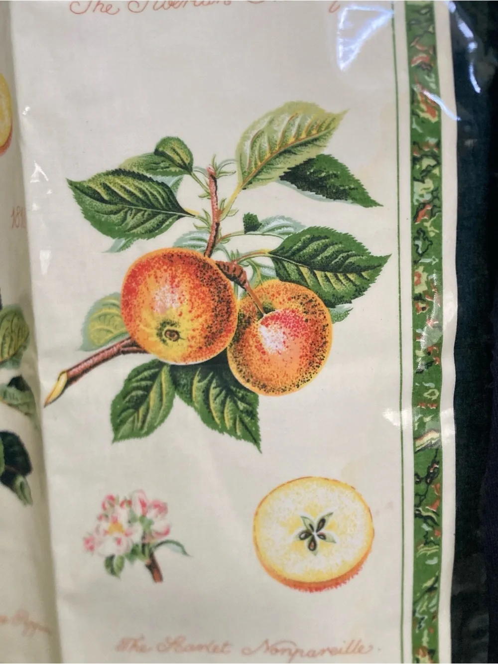 Botanical Fruit Apron. green & Cream - Classic Kitchen Linen. PVC coated cotton
